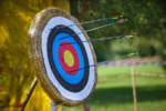 A bullseye with arrows missing the target